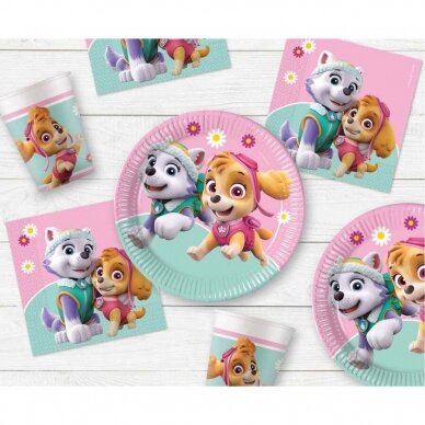 Paper cups (WM) Paw Patrol Skye & Everest Nickelodeon, 200ml, 8 pcs (SUP label) 1