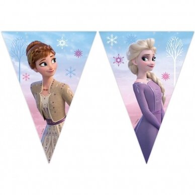 Banner "Frozen 2: Wind Spirit", flags